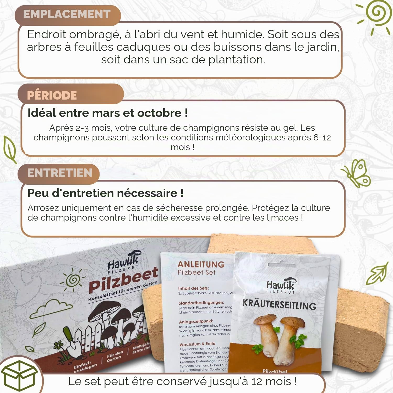 Hawlik Pilzbrut - Kit de champignon pleurote de panicaut - Facile à cultiver soi-même dans votre jardin - kit champignons à faire pousser - idéal pour le jardin