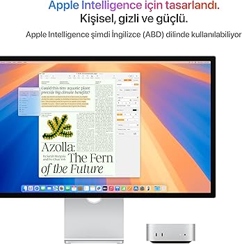 Apple Mac mini Masaüstü Bilgisayar M4 Pro çip, 12 çekirdekli CPU