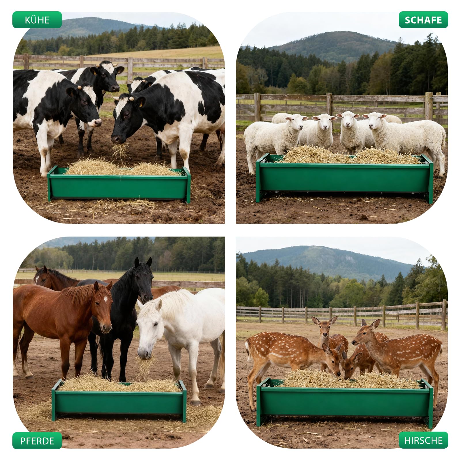 Futtertrog Pferd Metall,Verzinkter Stahl Heuraufe füR Heu & Getreide,100 x 45 x 24cm GroßE KapazitäT,Schwerlast,Stabile,Futterstation für Pferd,Ziegen,Kuh,Schaf,Schwein,Vieh (Grün)