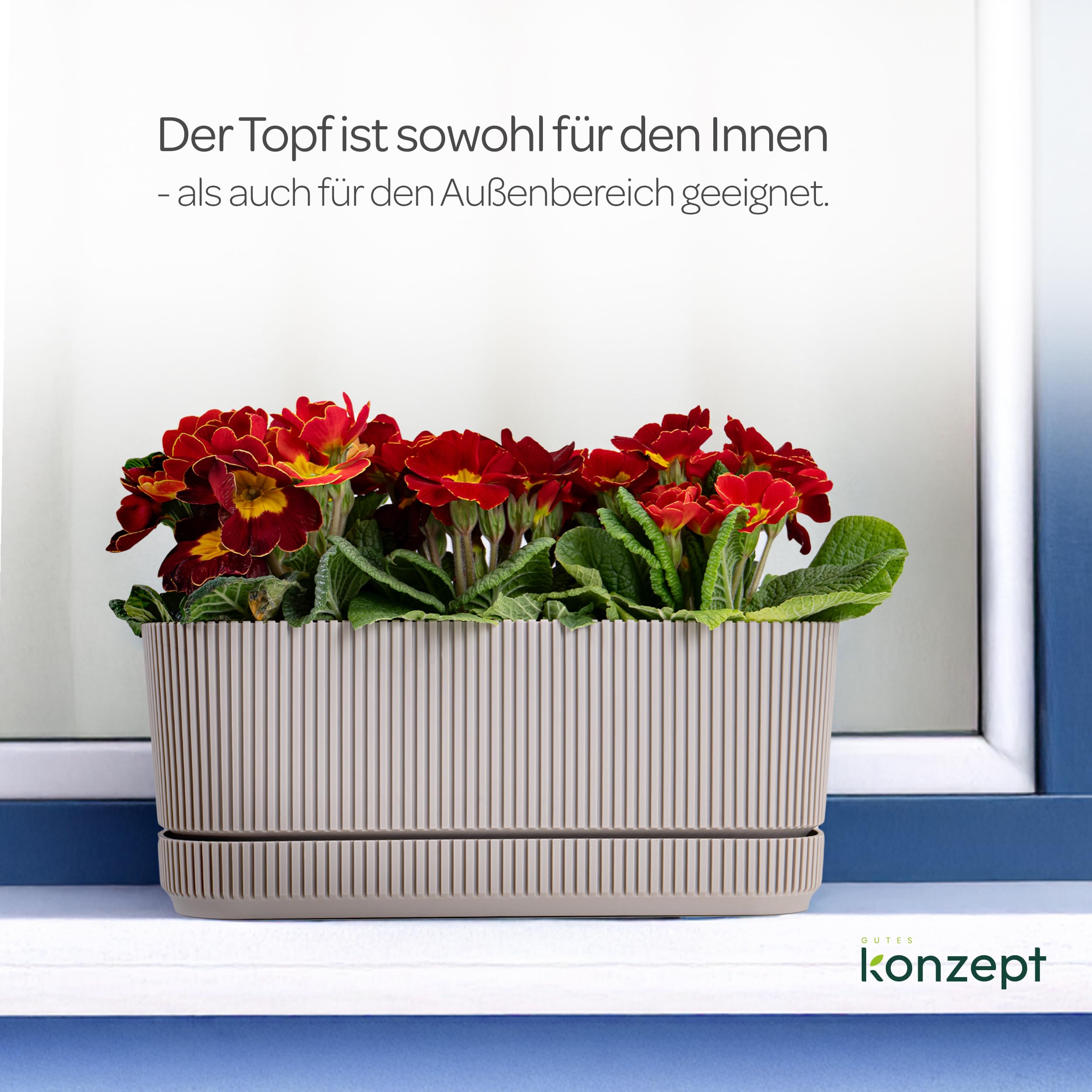 KONZEPT Blumenkasten klein fr Balkon mit Untersetzer  3L Balkonkasten aus  wetterfestem Kunststoff, ideal fr Fensterbank, Garten, Innen- &  Auenbereich: Amazon.de: Garten