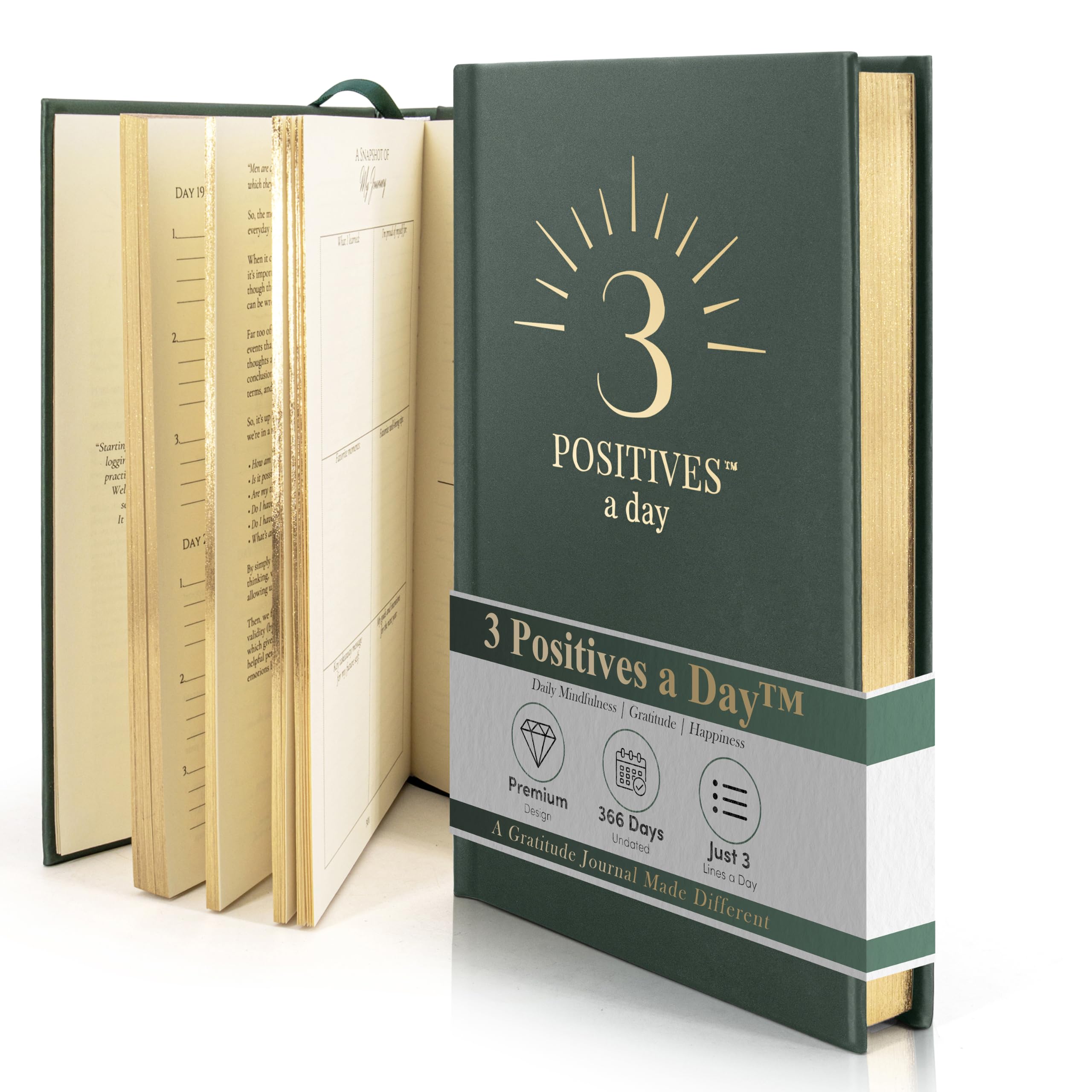 3 Positives a Day™ – One-Year Journal for Daily Mindfulness, Gratitude & Happiness | Therapist-Created | Evidence-Based Practice with Weekly Well-Being Tips | Undated I Gratitude Journal Gifts for Women & Men 2026