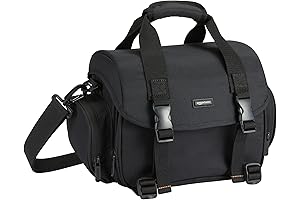 Amazon Basics Large DSLR Gadget Bag, Black with Orange Interior, Solid