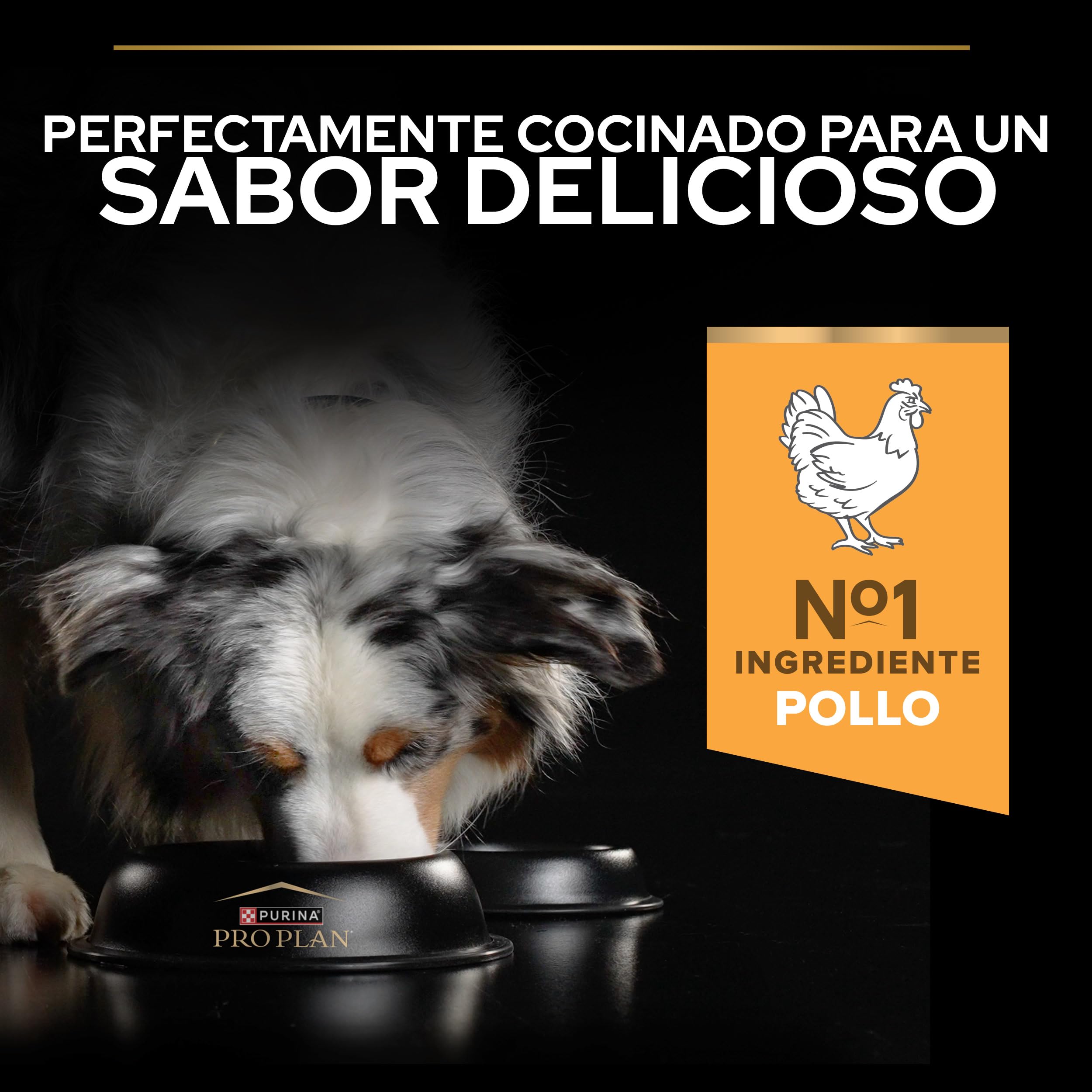 Purina Pro Plan Medium Large Age+7 Pienso para Perro Mediano y Grande Mayor, Senior con Pollo, Saco de 16kg