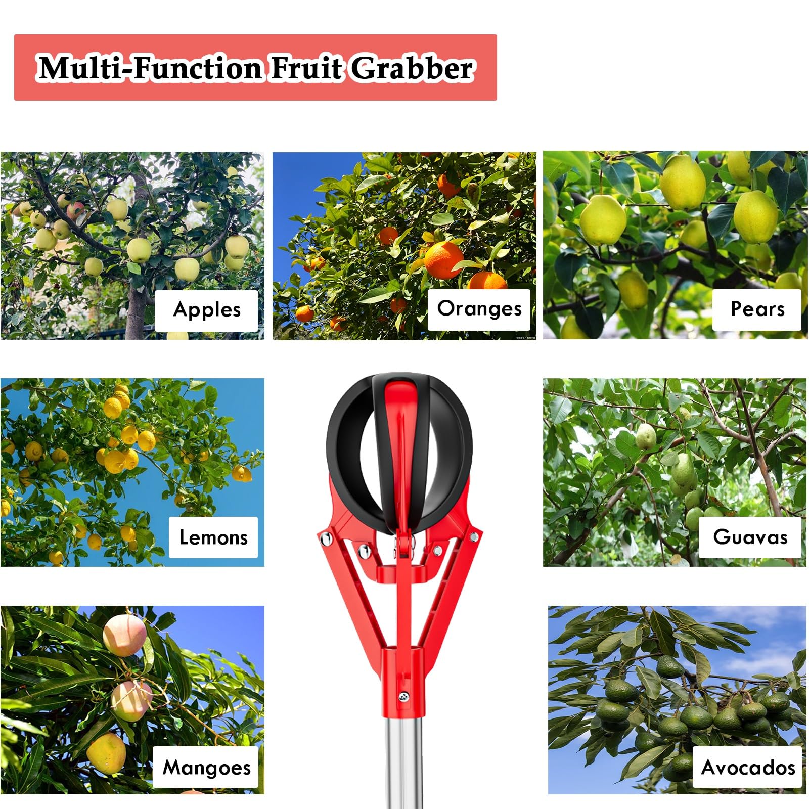 AMUFJJ cueille Fruit telescopique Pomme Rallonge De Perche Cueillette Fruits, Perches Pommes/Oranges/avocats/poires avec Panier Télescopique, Outil Préhension Extra Long(1m (3.3ft) - 1.5m (4.9ft))