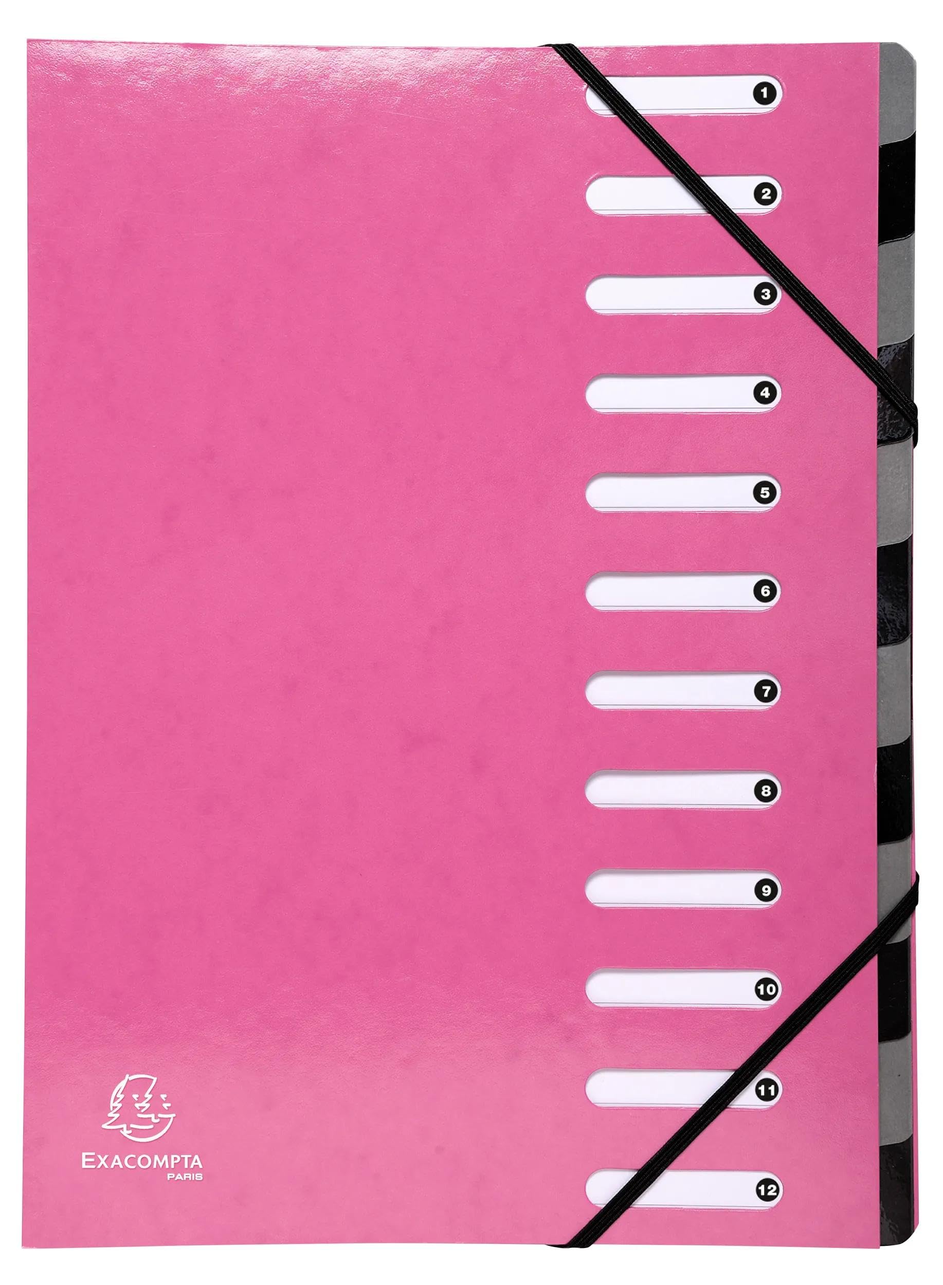 Exacompta - Ref 53928E - Box of 6 HARMONIKA Iderama File Boxes - with Elastic Bands and Cut-Out Windows - Expandable Back - Made of Laminated Glossy Card - 12 compartments -Size 24.5x32cm - A4 - Pink