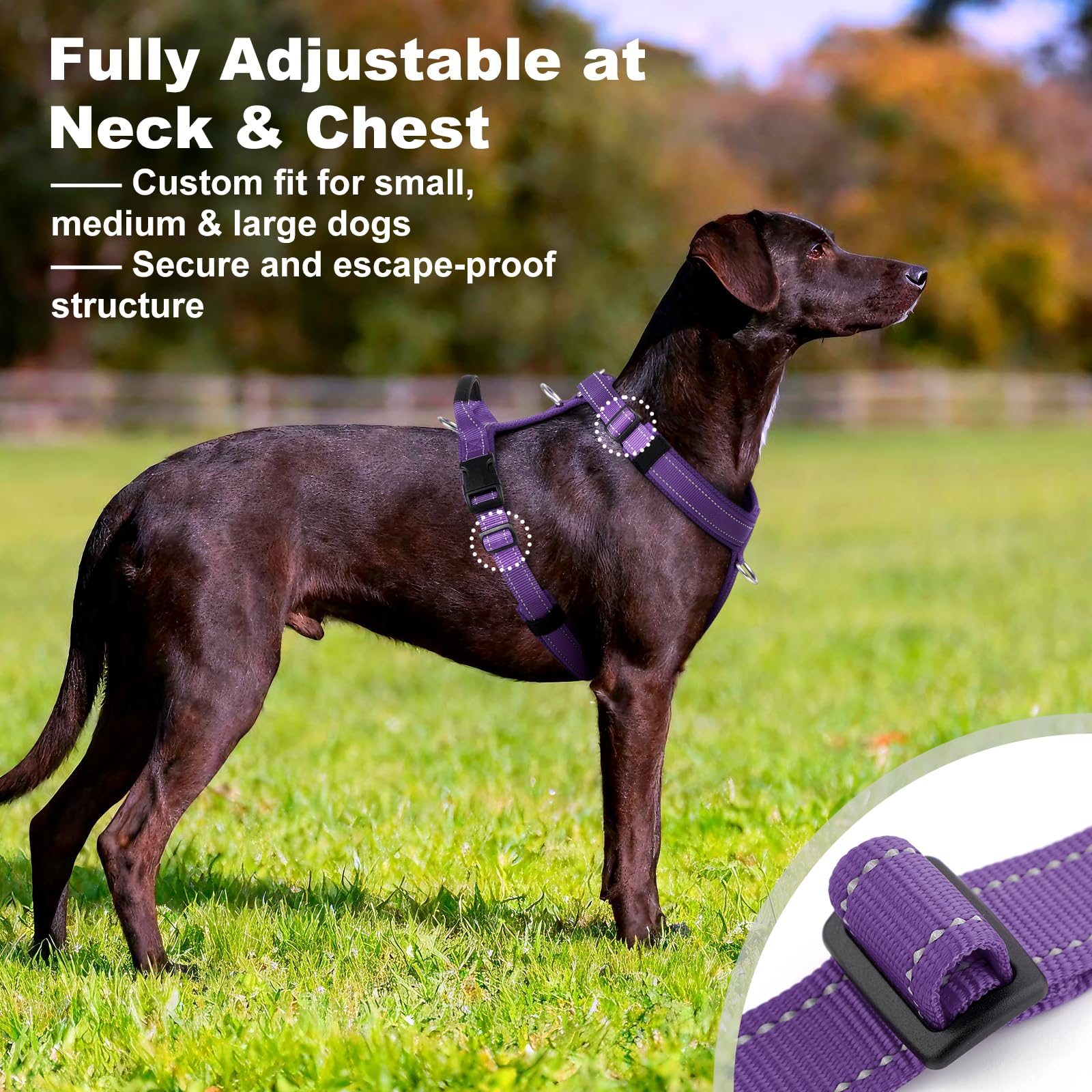 Arnés para perro sin tirones con asa, malla suave acolchada ajustable para perros pequeños, medianos y grandes, arnés reflectante para caminar fácil con clip frontal para entrenamiento, correr