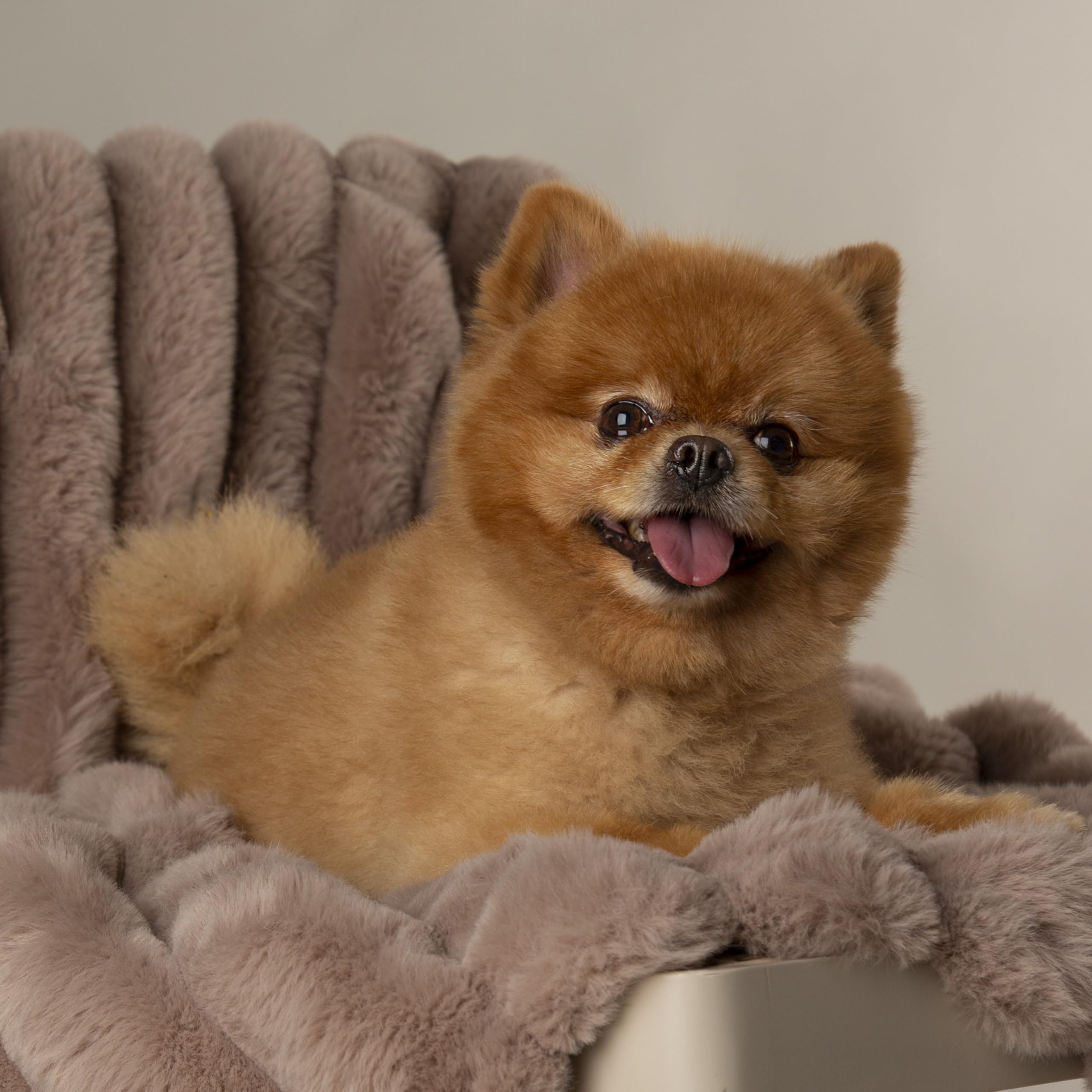 Julian Charles Brown Scruffs Aspen Taupe Faux Fur Pet Blanket - One Size