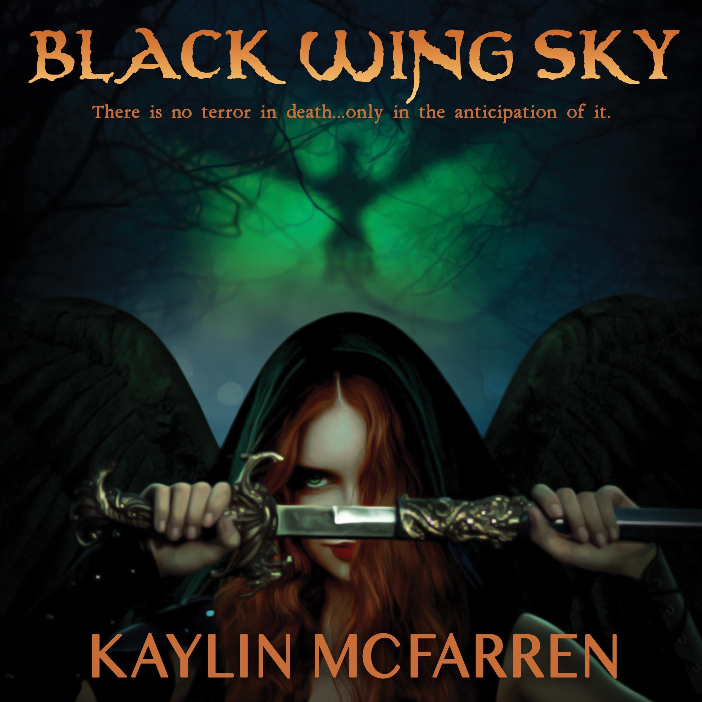 Cover art for Black Wing Sky
