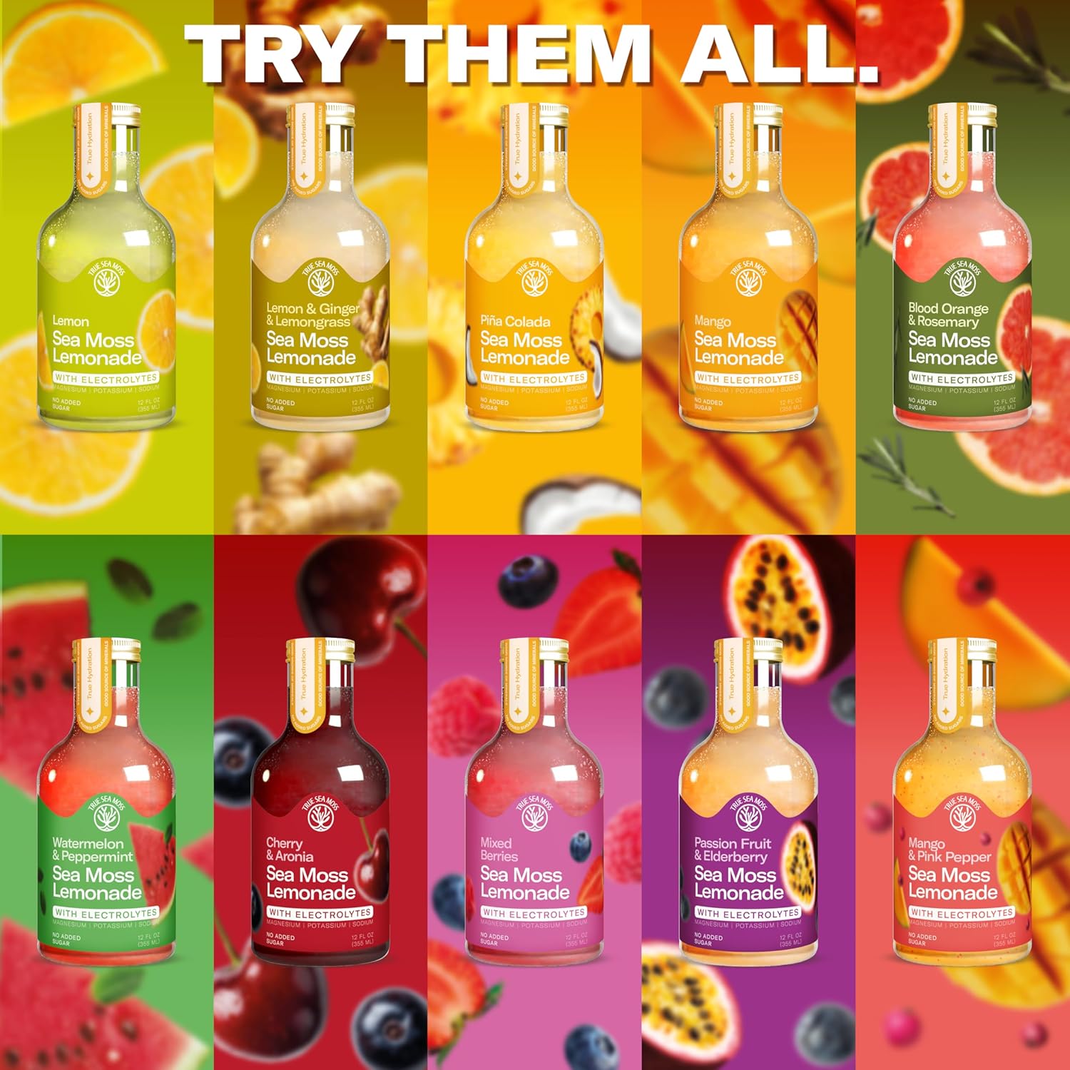 True Sea Moss Lemon Lemonade – Single Flavor Pack with Classic & Electrolyte Formula Variation – 4 × 12 fl oz Bottles – Made in USA