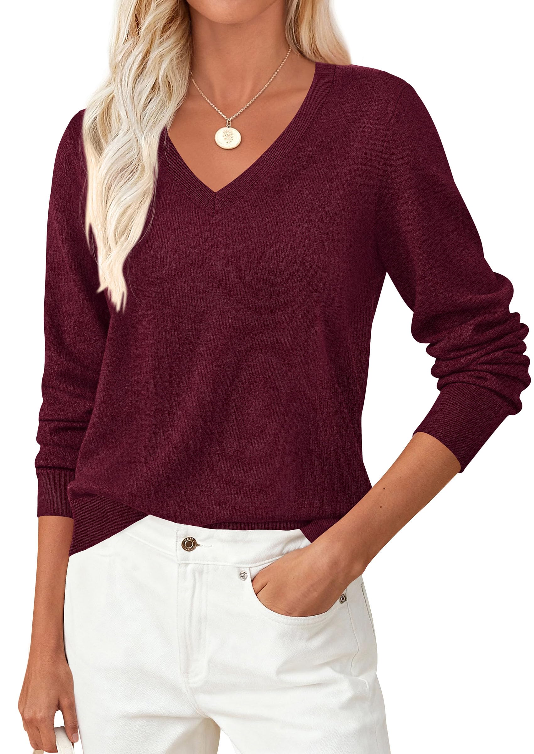 PRETTYGARDEN Womens V Neck Sweaters 2026 Fall Casual Long Sleeve Classic Pullover Cozy Knit Tops Loose Basic Winter