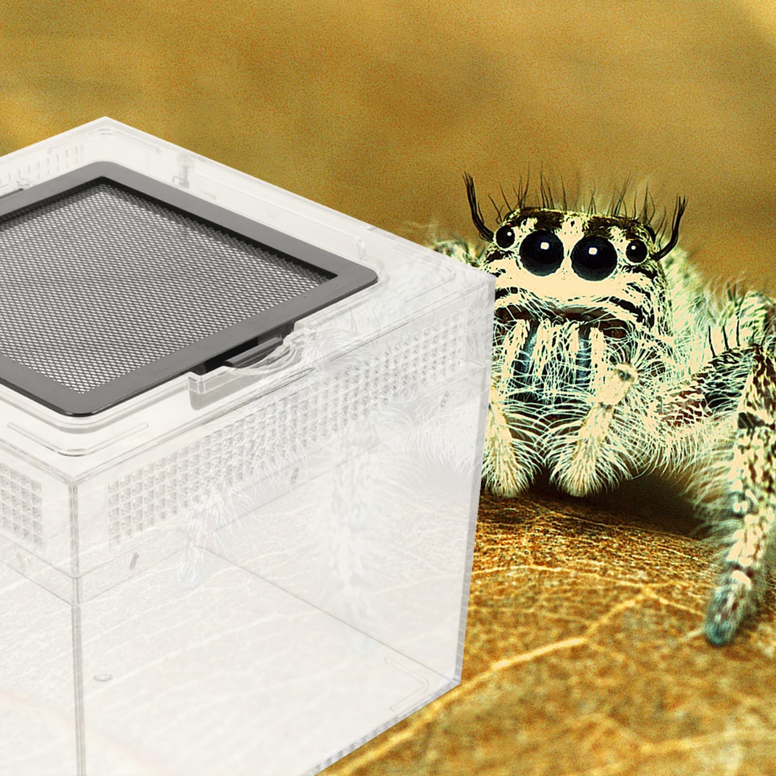 OSALADI Terrarium Einfach Geformt mit Hoher Temperaturbeständigkeit aus Acryl und Glatter Oberfläche für Taranteln und Schlangen als Gehege für Haustiere