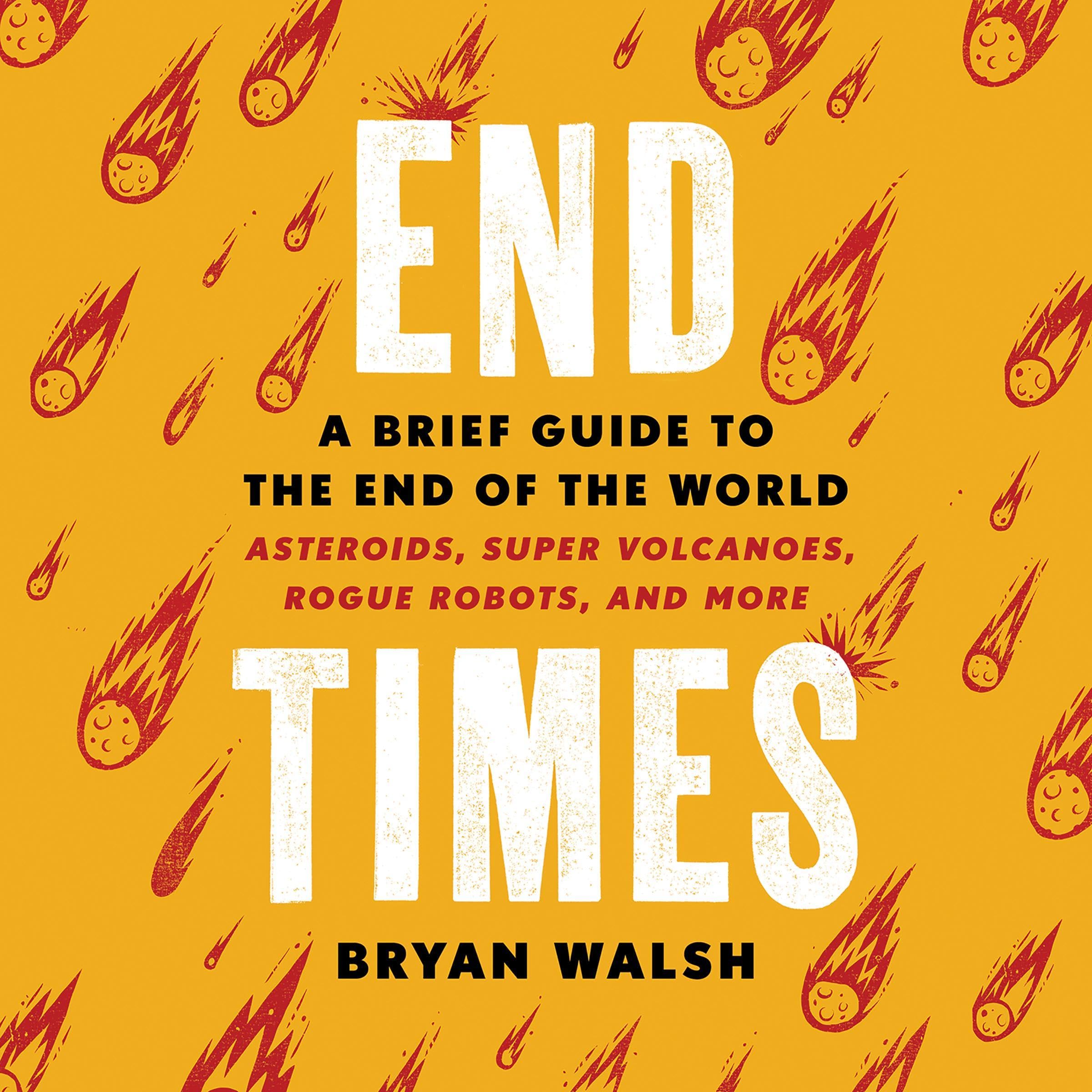 Cover art for End Times