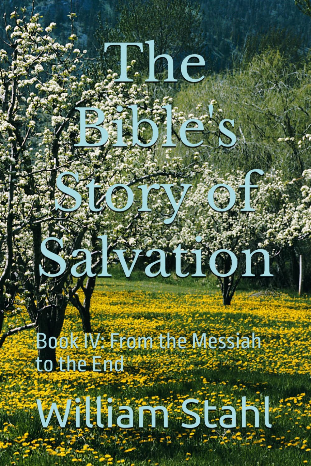 The Bible's Story of Salvation: Book IV: From the Messiah to the End
