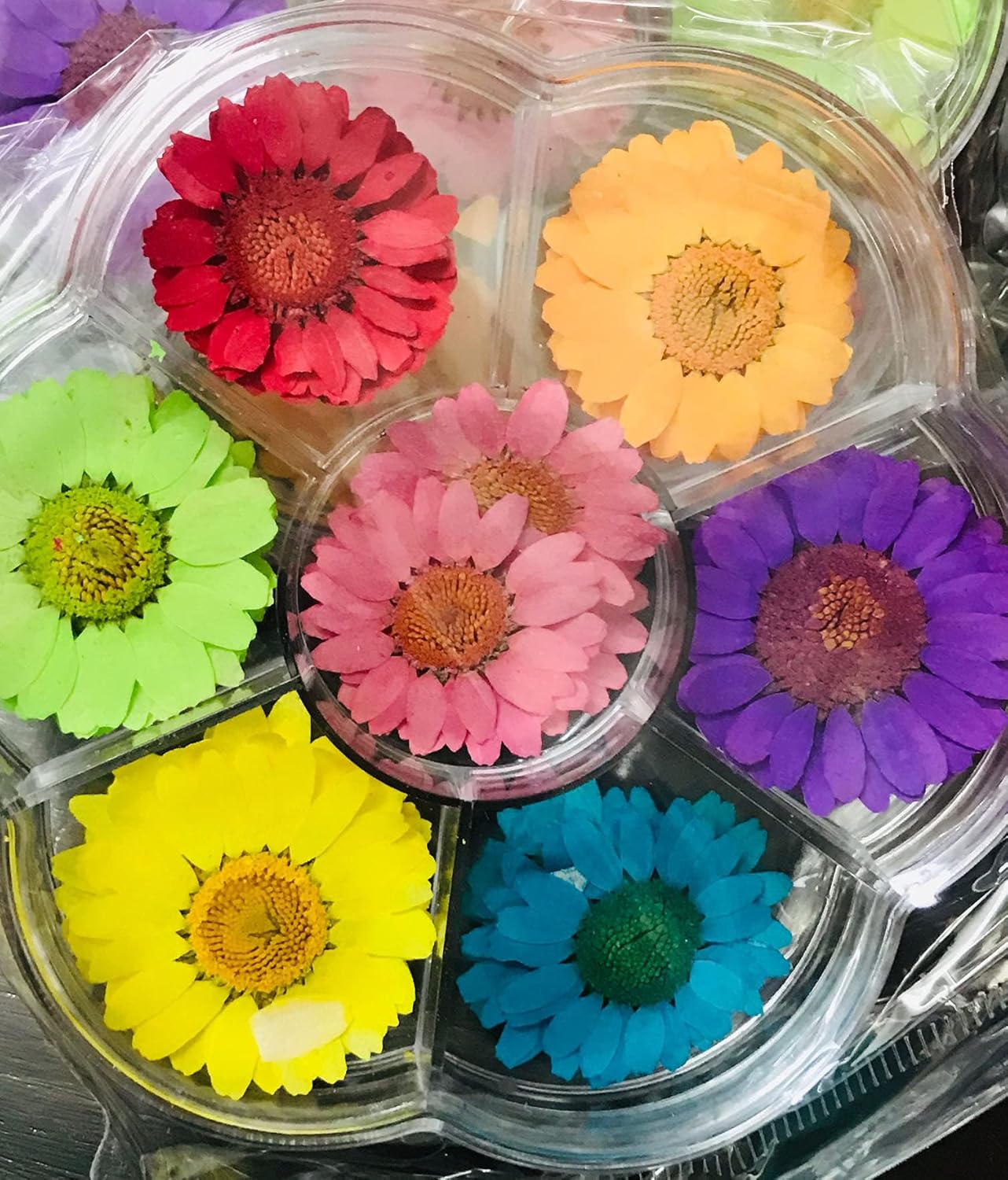 Real Dried Flowers For Resin And Nail Art