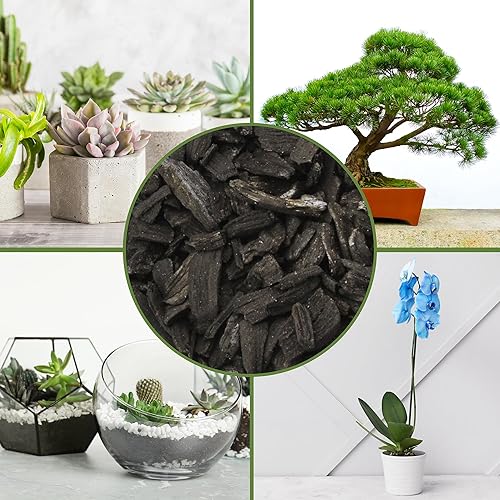 Miniatura 6 de Soil Sunrise Carbón hortícola para plantas de interior (4 cuartos de galón) Aditivo para suelos de madera dura para orquídeas, terrarios y jardinería