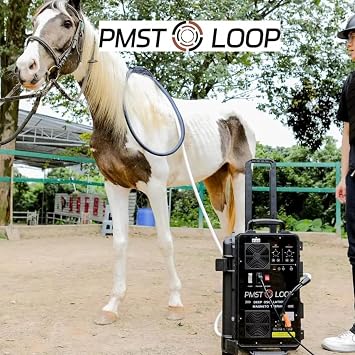 2025 PEMF Therapy Devices for Horses - Magnetic Therapy Machine with 1000-6000 Gauss Energy Intensity, PMST Loop for Enhanced Equine Wellness and Performance