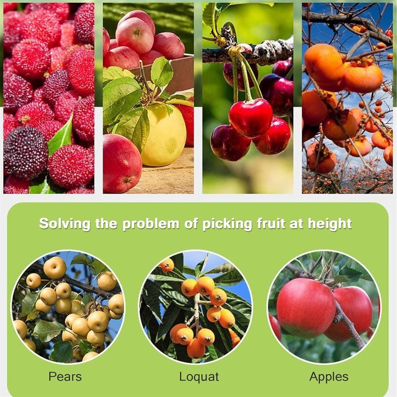 Raccoglitore di frutta, asta per raccoglitore di frutta con manico telescopico e borsa per la frutta, strumento in acciaio inossidabile, pratico aiuto per la raccolta di pere, limoni, arance (B, 6 m