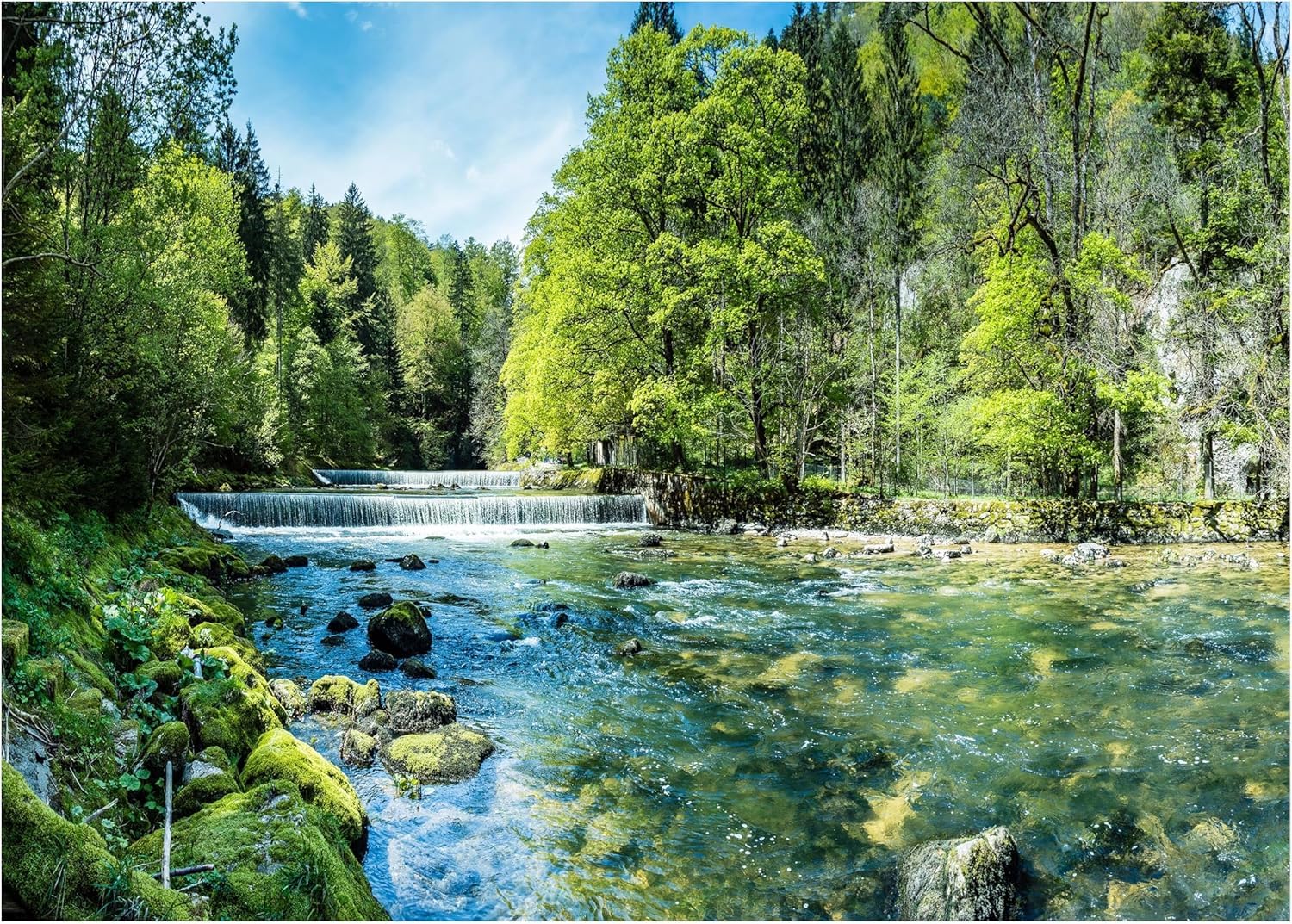 Papier Peint Panoramique Forêt 3D trompe l'œil pour chambre enfant