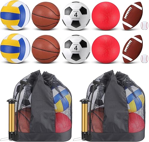 Deekin 12 Pcs Assorted Sport Ball Set for Kids Official Size Basketball Football Volleyball Soccer Baseball Playground Ball with Bag and Pump for