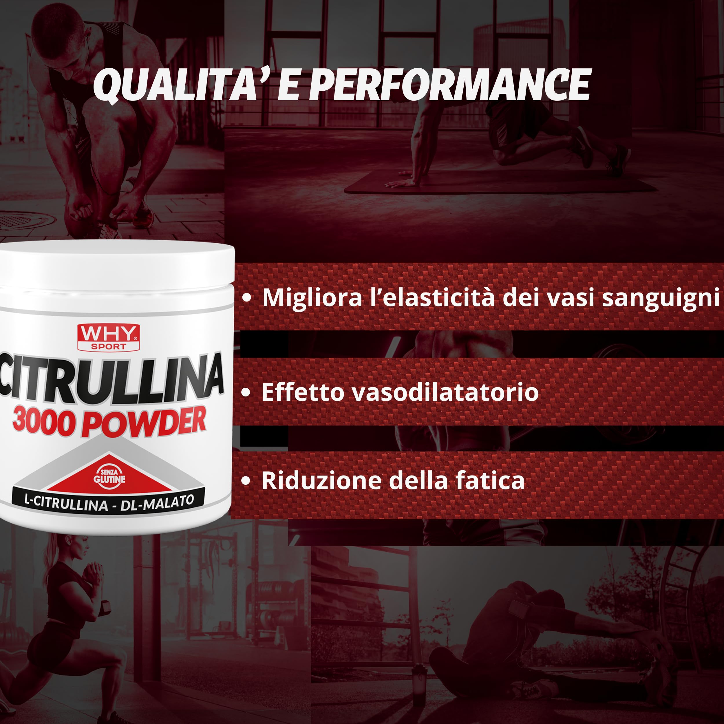 WHY SPORT CITRULLINA 3000 - Integratore Alimentare Energetico a Base di Citrullina Malato – 201 gr