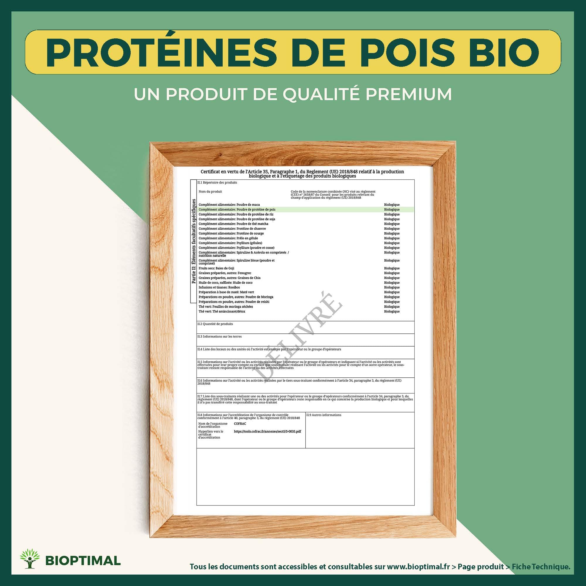 Proteina di Pois Bio - Biottimale - 80% Proteine - 12% BCAA - Alta Digestibilità - Energia Sport Musculare - Polvere di pois Giallo - 100% Puro - Confezione in Francia - Certificato Ecocert - 3 kg
