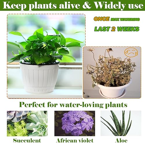 Miniatura 5 de Paquete de 6 macetas de riego automático para plantas de interior de 7.1 pulgadas, macetas de plástico violeta africana para plantas de exterior,