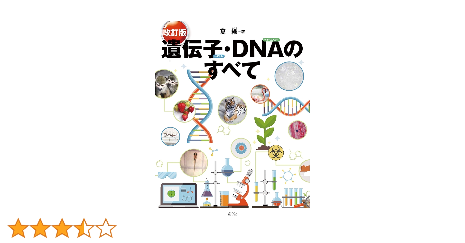 81bw9pOb7gL.jpg_BO30,255,255,