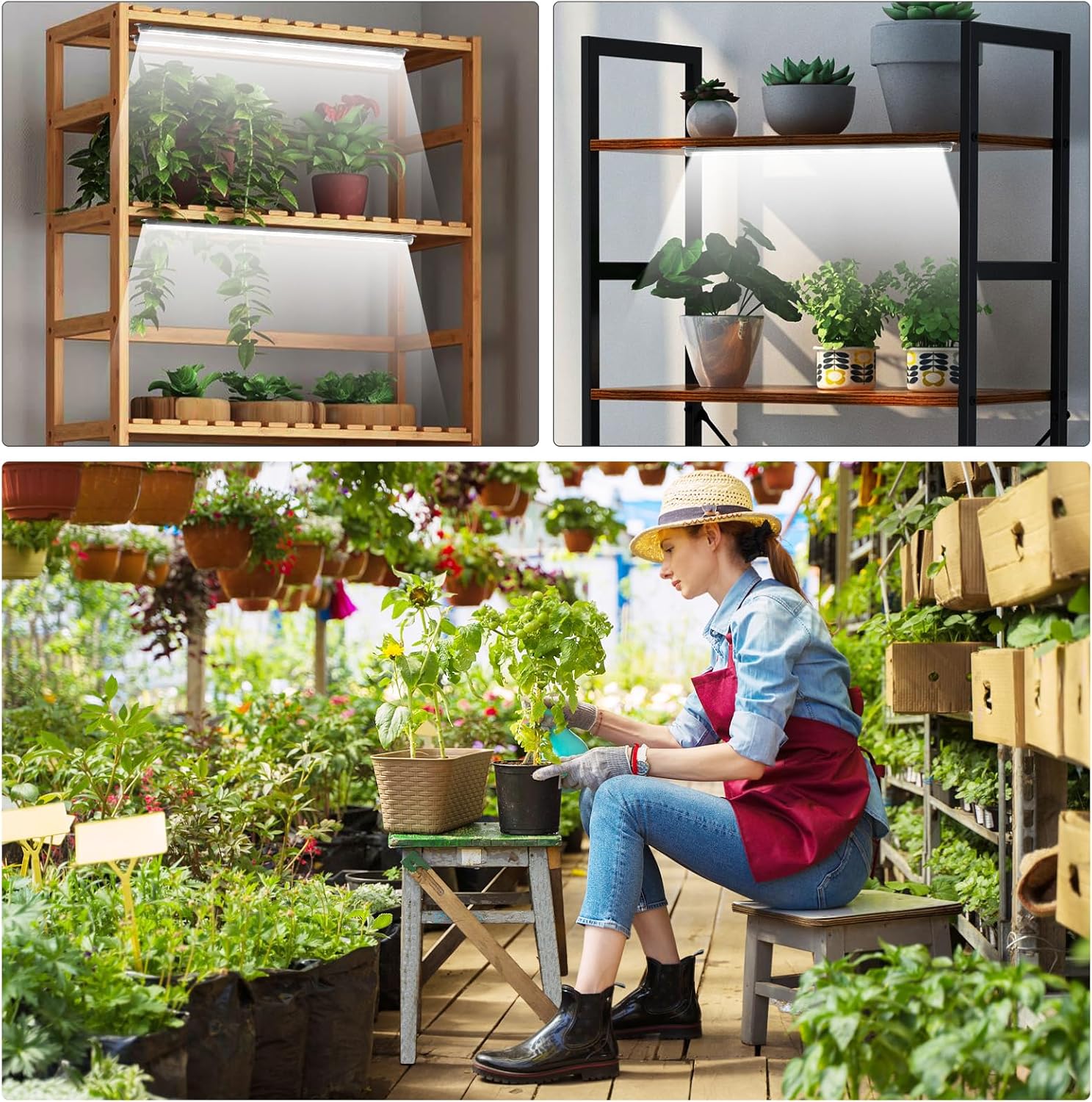 16'' 6 Bars Grow Light Strips for Indoor Plants with Auto ON/Off Timer 6/12/18H, 5 Dimmable Levels for Shelves Plant Growing(Pack 1) - Image 8