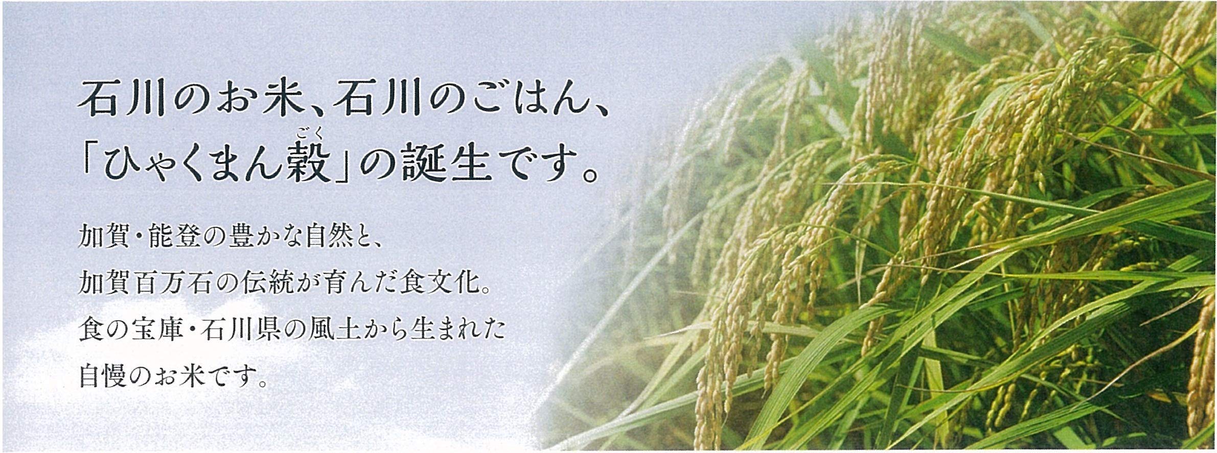 Amazon.co.jp: パールライス 石川県産 白米 ひゃくまん穀 5kg 令和7