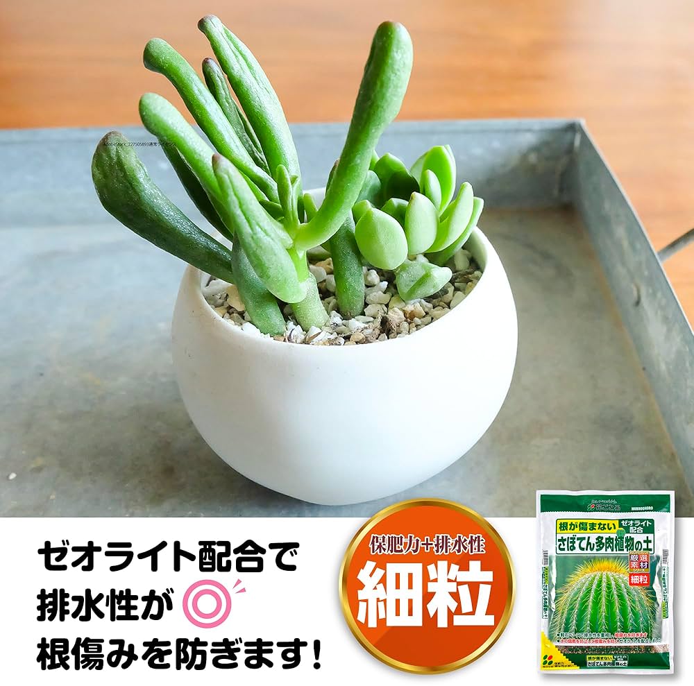 Amazon | 花ごころ さぼてん多肉植物の土 2l | 用土