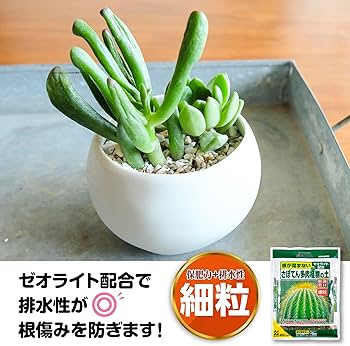 Amazon | 花ごころ さぼてん多肉植物の土 2l | 用土 Amazon | 花ごころ さぼてん多肉植物の土 2l | 用土