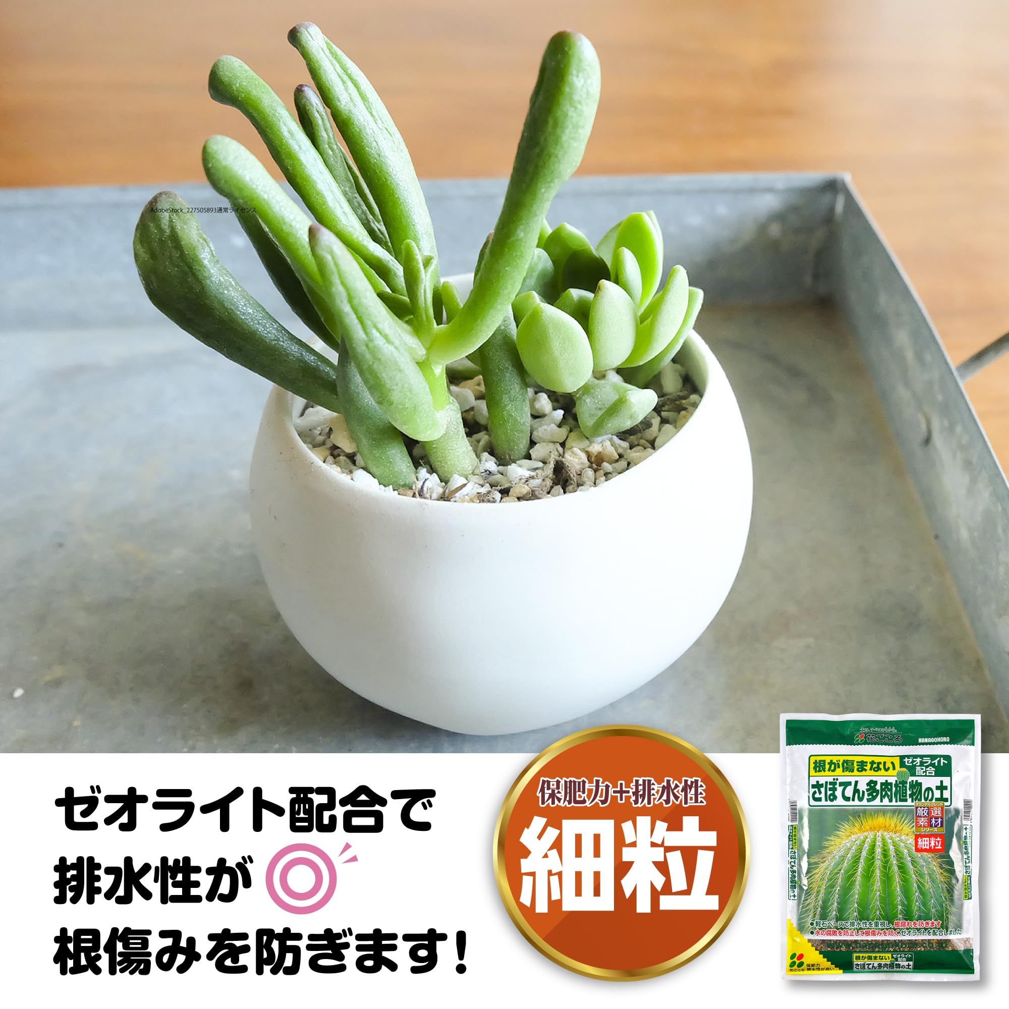 Amazon | 花ごころ さぼてん多肉植物の土 2l | 用土