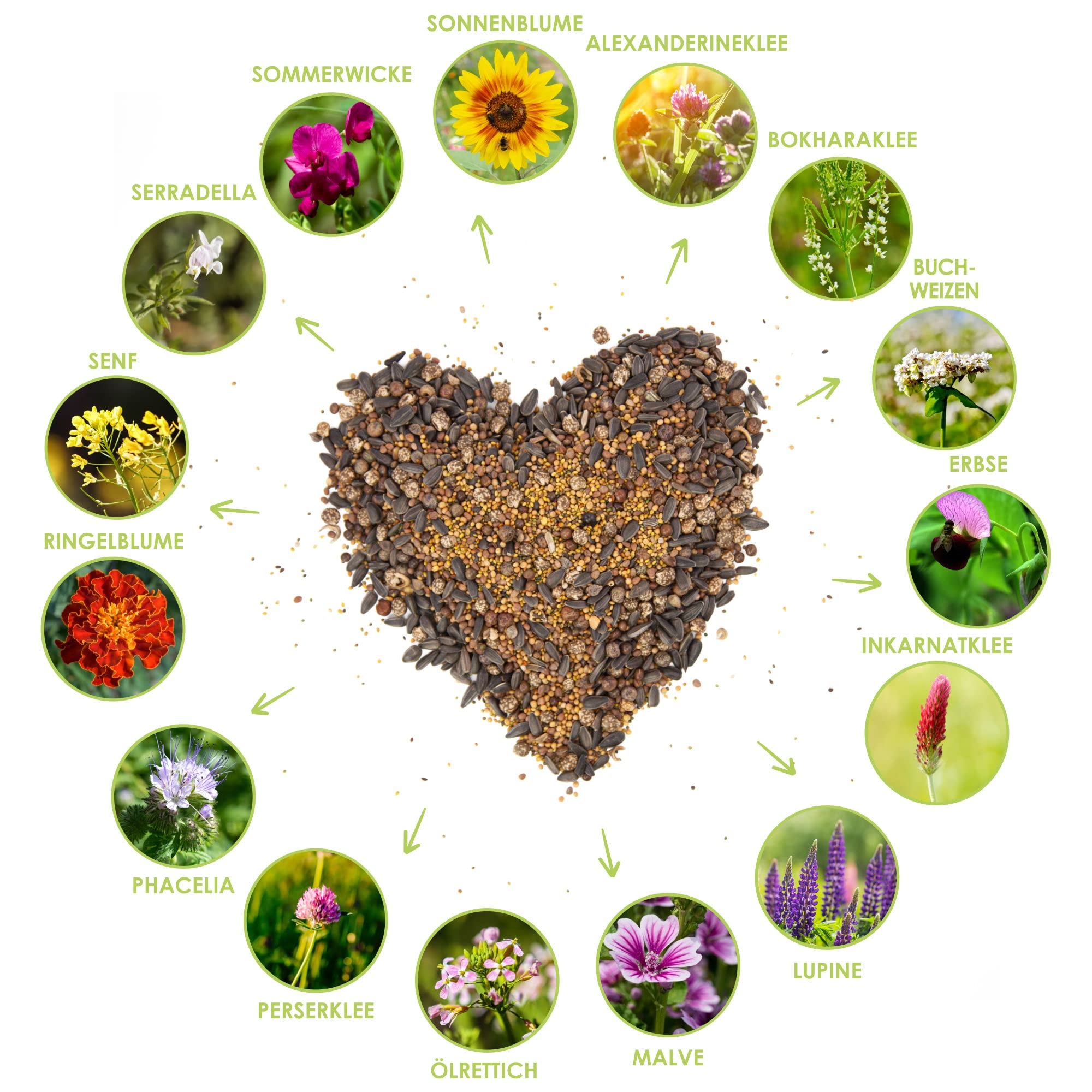 Mélange Graines Fleurs Pour Abeilles - 800 G Pour 150-250 M² - 20 Espèces De Plantes Mellifères - 5