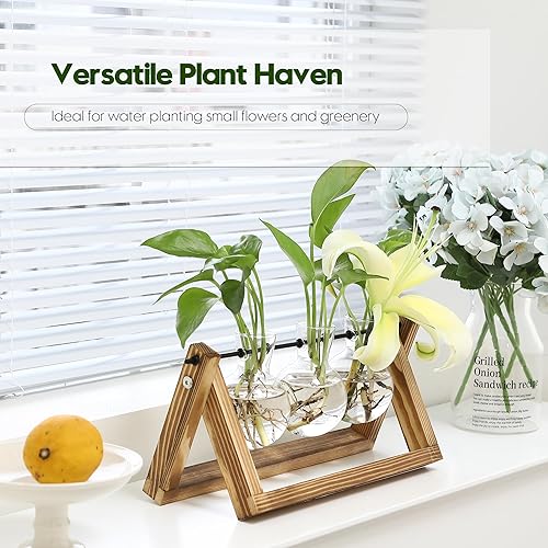 Miniatura 2 de Hinwo Terrario para plantas con soporte de madera, estación de propagación, bombilla de maceta de aire, jarrón de vidrio con soporte giratorio de
