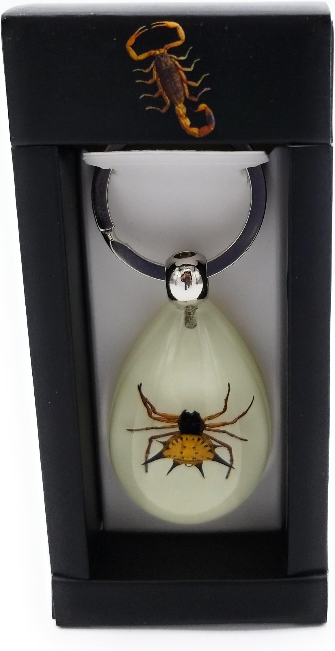 Spiny Spider Key Ring - Glow in the Dark