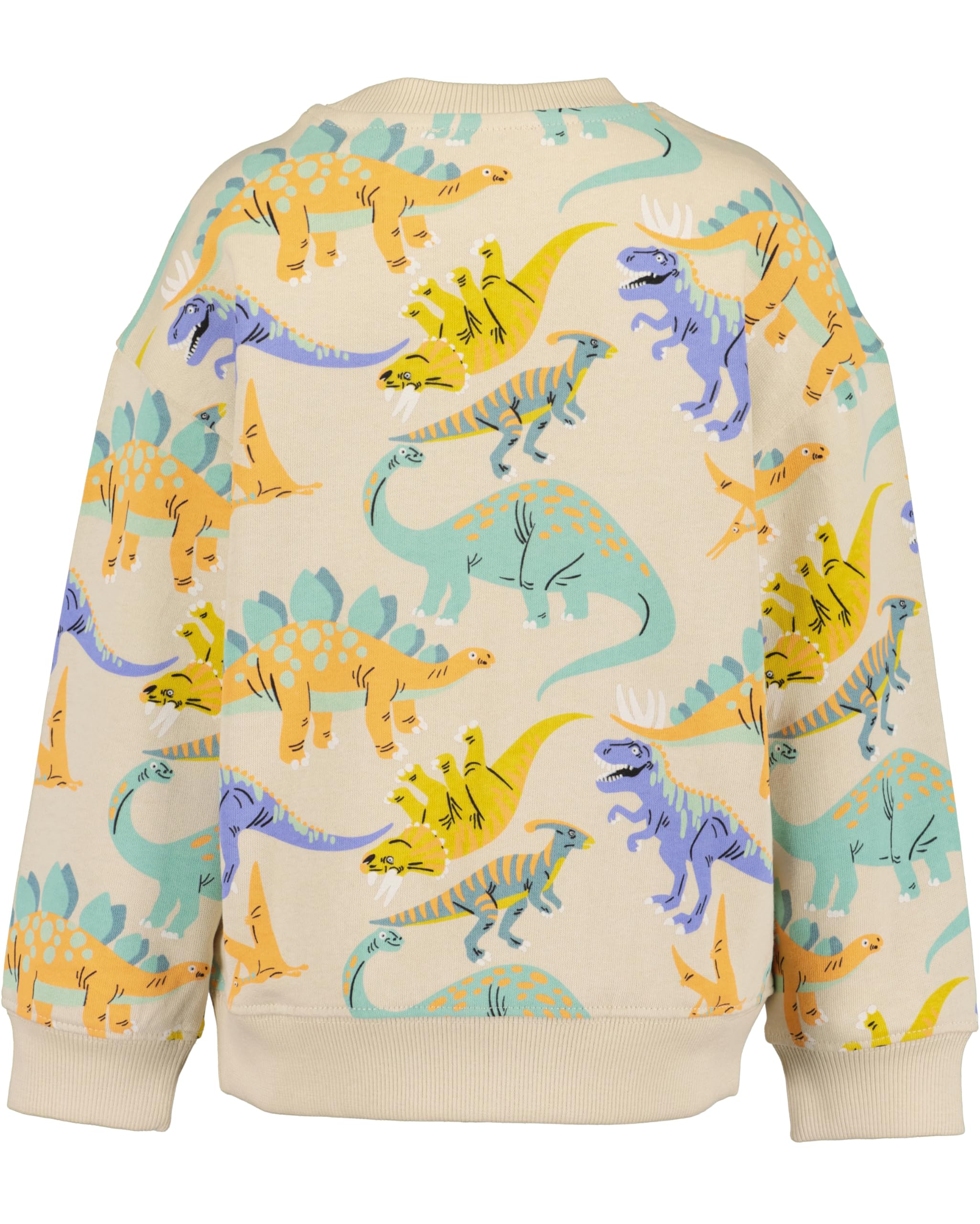 Blue Seven Jungen Sweatshirt mit Dinos