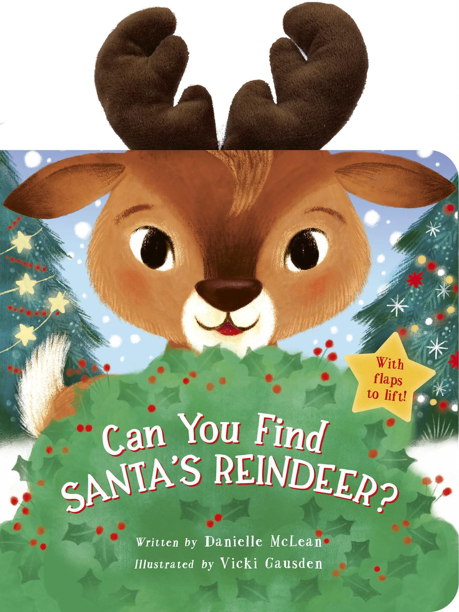 Can You Find Santa's Reindeer?: With flaps to lift!
