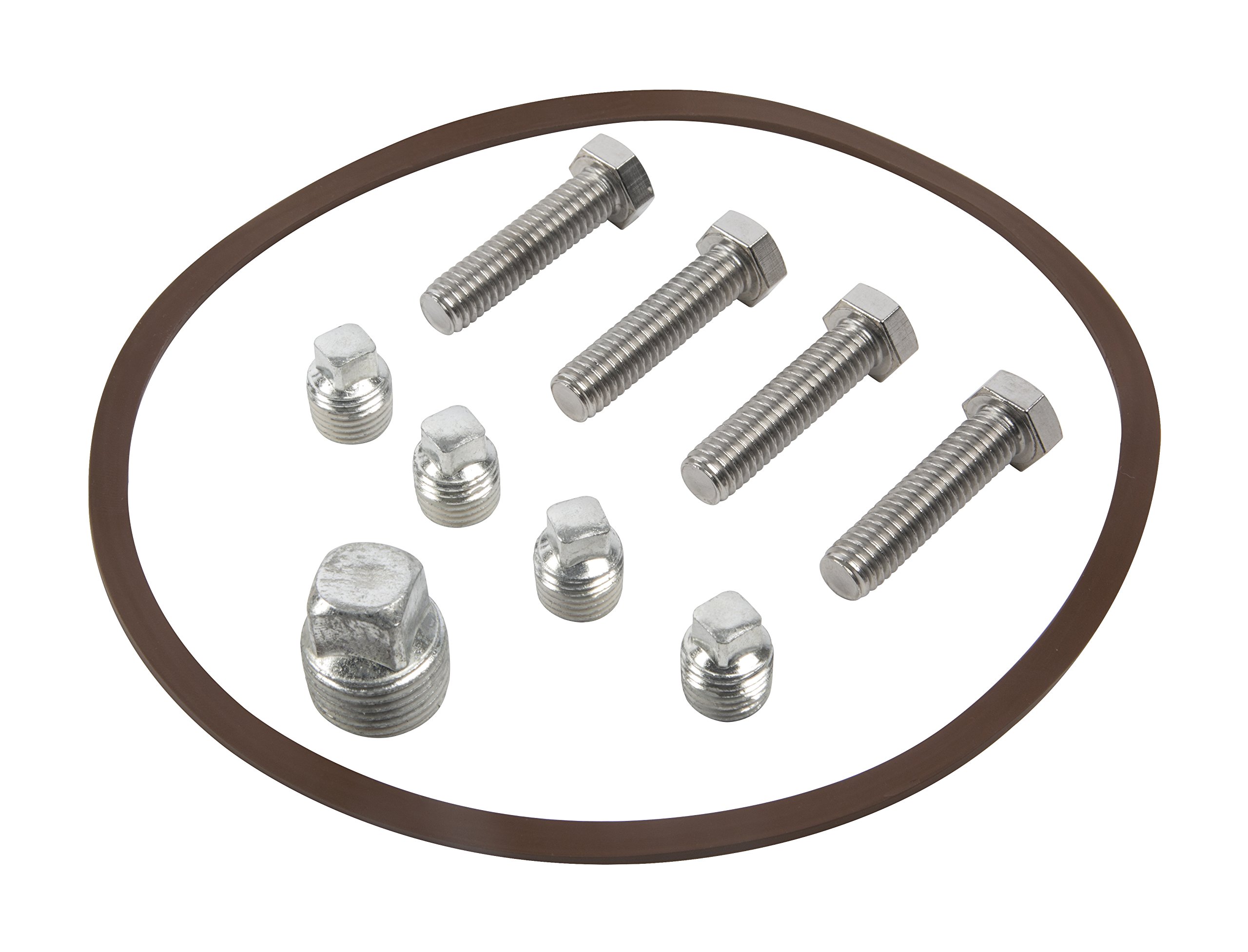 Red Lion305584013 Gasket/Hardware Repair Kit for All RJS-PREM Series Shallow Well Jet Pump Models, Steel/Black