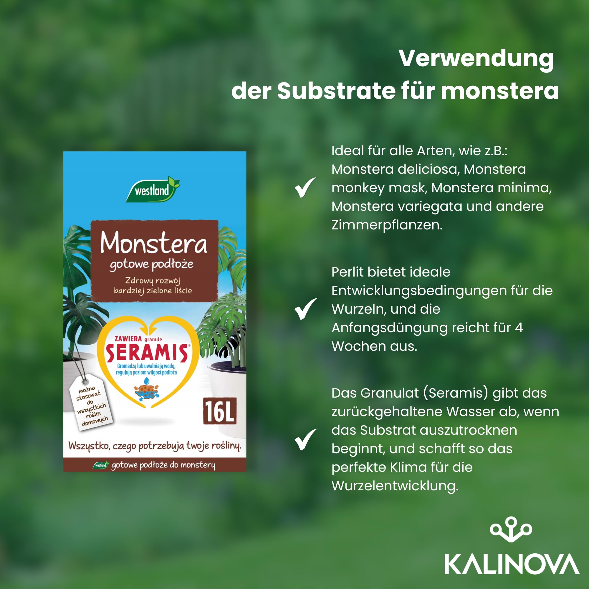Erde mit Seramis 16L- Perlit - Blumenerde fr Zimmerpflanzen,  Balkonpflanzen, Monstera - Pflanzerde - Zimmerpflanzenerde - Universalerde  : Amazon.de: Garten