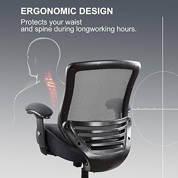 Amazon.com: WITTLONG 400lbs Ergonomic Office Chair with Double
