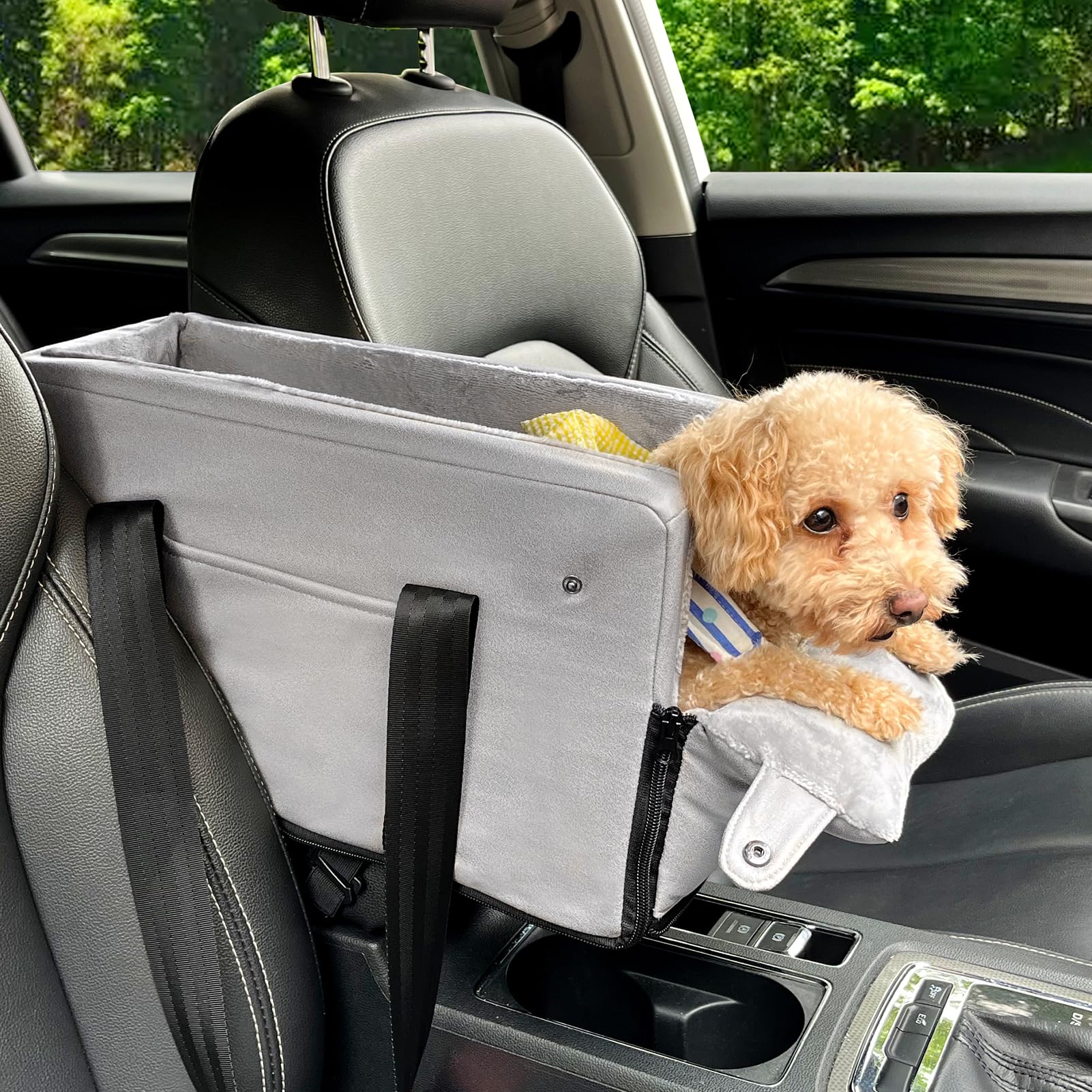 Hunde-Autositz in der Mittelkonsole, wasserdicht, mit Sicherheitsgurt, Hundeautositz für kleine Haustiere, den täglichen Gebrauch im Haushalt Cenmoo