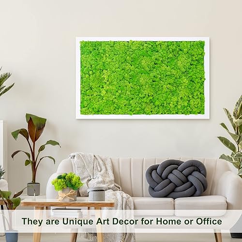 Miniatura 3 de Pextian Musgo verde preservado para manualidades, musgo de reno de 8 onzas para plantas en maceta, musgo artificial decorativo para bodas,