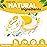 Shadazzle Natural All Purpose Cleaner and Polish - Eco friendly Multi-purpose Cleaning Product (1 Pack, Lemon)
