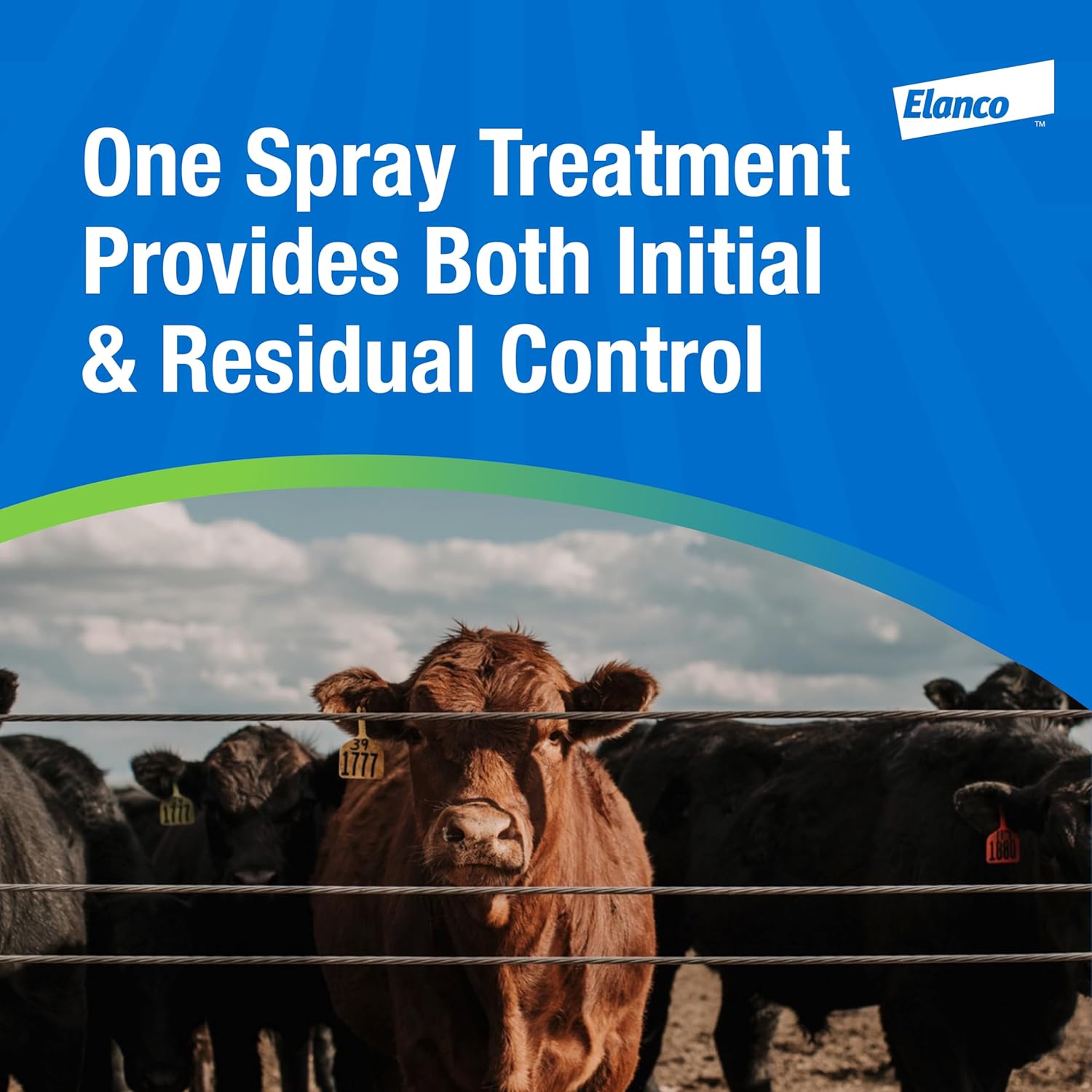 Co-RAL Fly & Tick Spray | Controls Flies, Lice & Ticks on Beef & Dairy Cattle, Swine and Horses | 0.5 Gal Jug