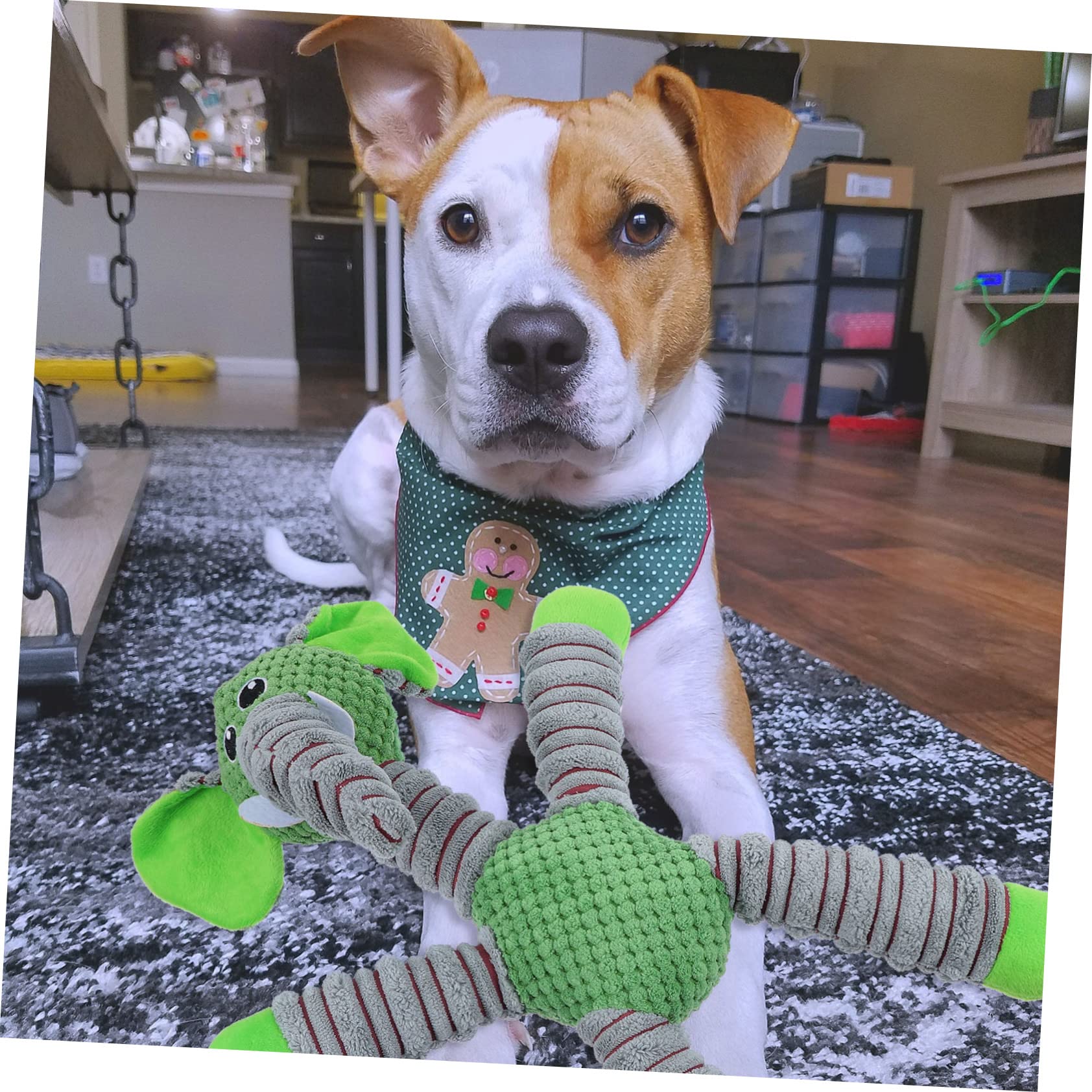 BESPORTBLE 2piezas Juguete Chirriante De Peluche para Perros para Cachorros y Perros Medianos Resistente Mordidas Diseño Ergonómico para Limpieza para Jugar Casa y Fiestas De Mascotas
