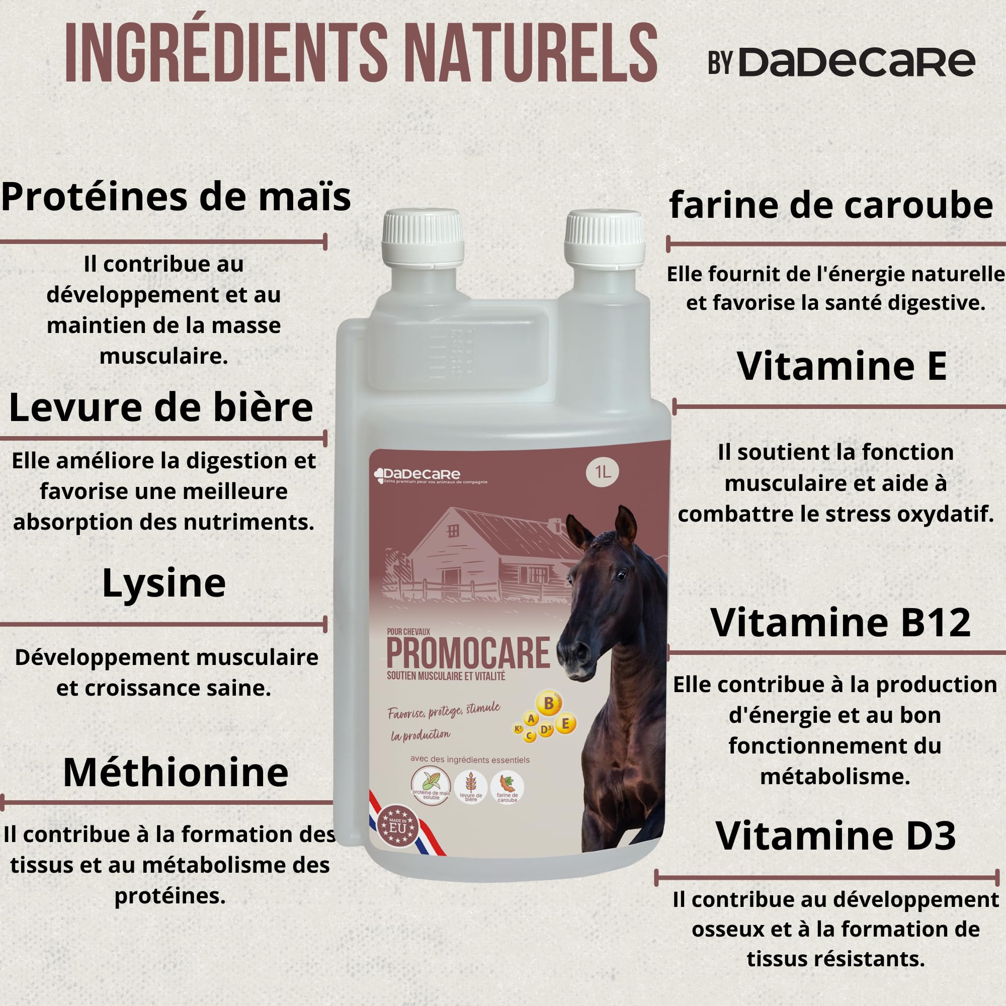 Promocare - Vitamines pour Chevaux 1 L avec acides aminés Essentiels et antioxydants - Complexe vitaminique B, E, C et A - Soutien au métabolisme, à l'énergie, à la récupération