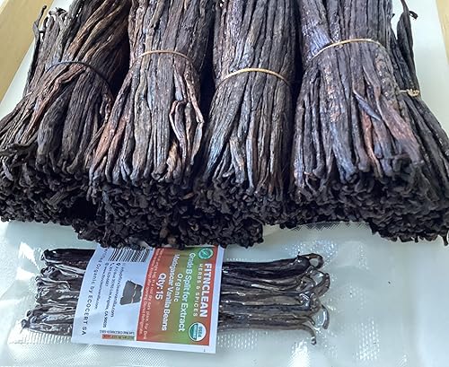 15 granos de vainilla de Madagascar orgánicos partidos grado B | 5 a 7 pulgadas para extracto de FITNCLEAN VANILLA| Bourbon Non GMO Pods