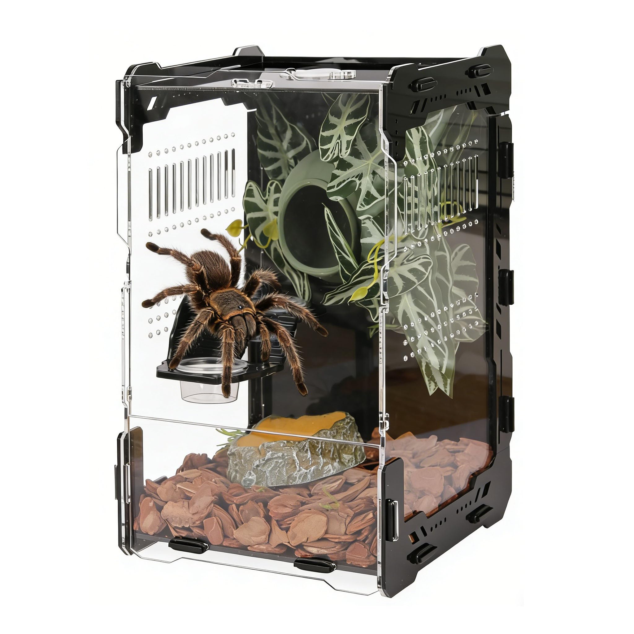 Jumping Spider Enclosure - 3mm Black Transparent Acrylic Terrarium for Tarantulas, Mantises &amp; Frogs, 11.8x5.9x5.9 Inch Mechanical Frame Habitat with Magnetic Feeding Hole &amp; Rotating Lock