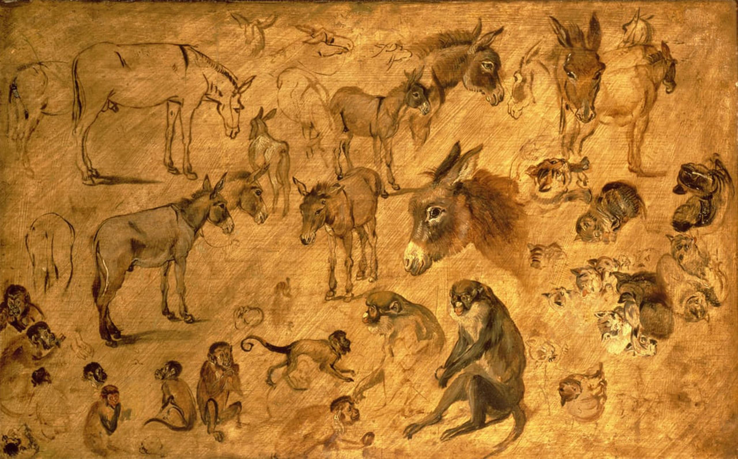 POSTERIIk Vintage Art Print Images Pictures Print Study of Donkeys Kittens and Monkeys by Jan the Elder Brueghel Modern Colour Posters for Office Home Decor 60x90cm