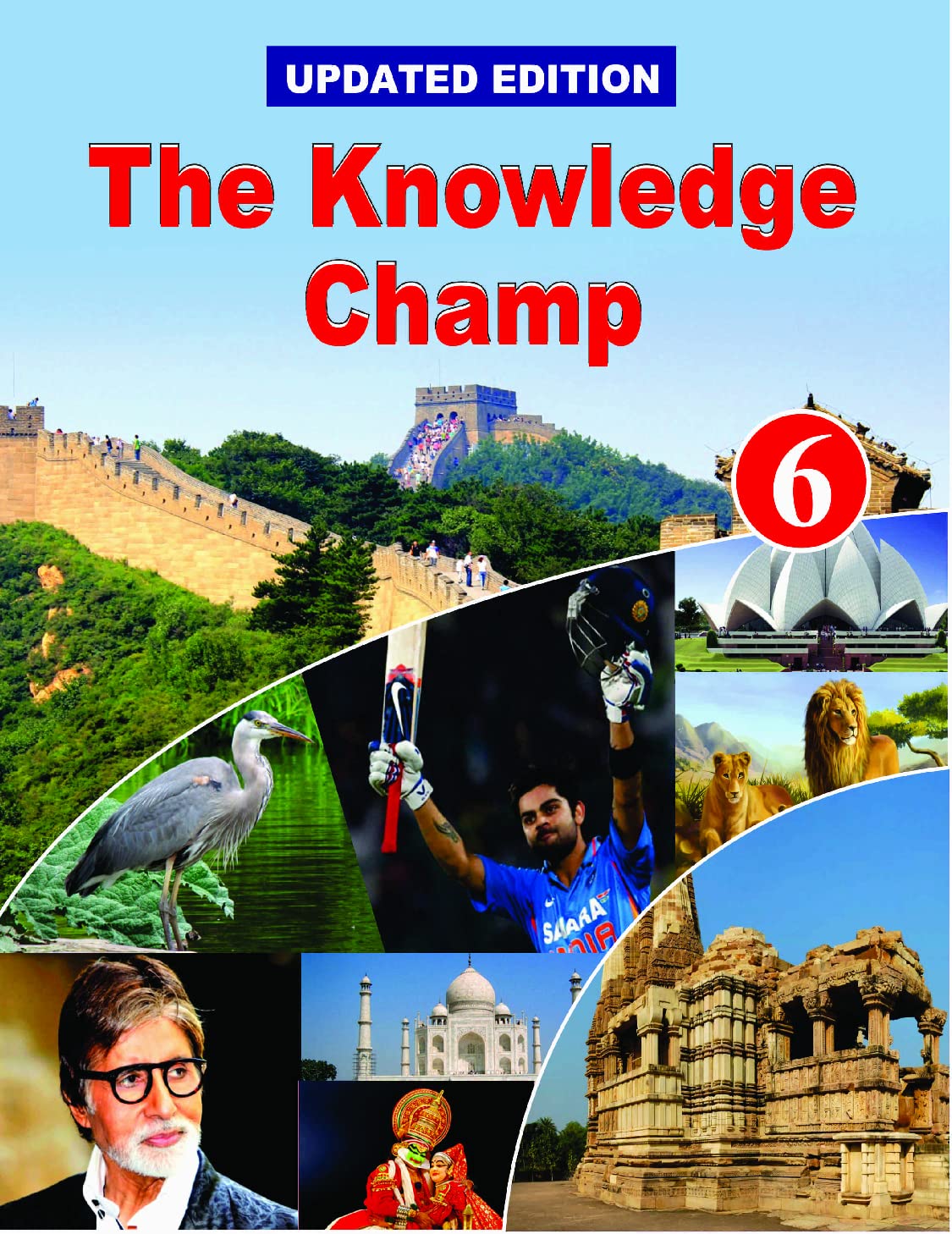The Knowledge Champ: Book 6